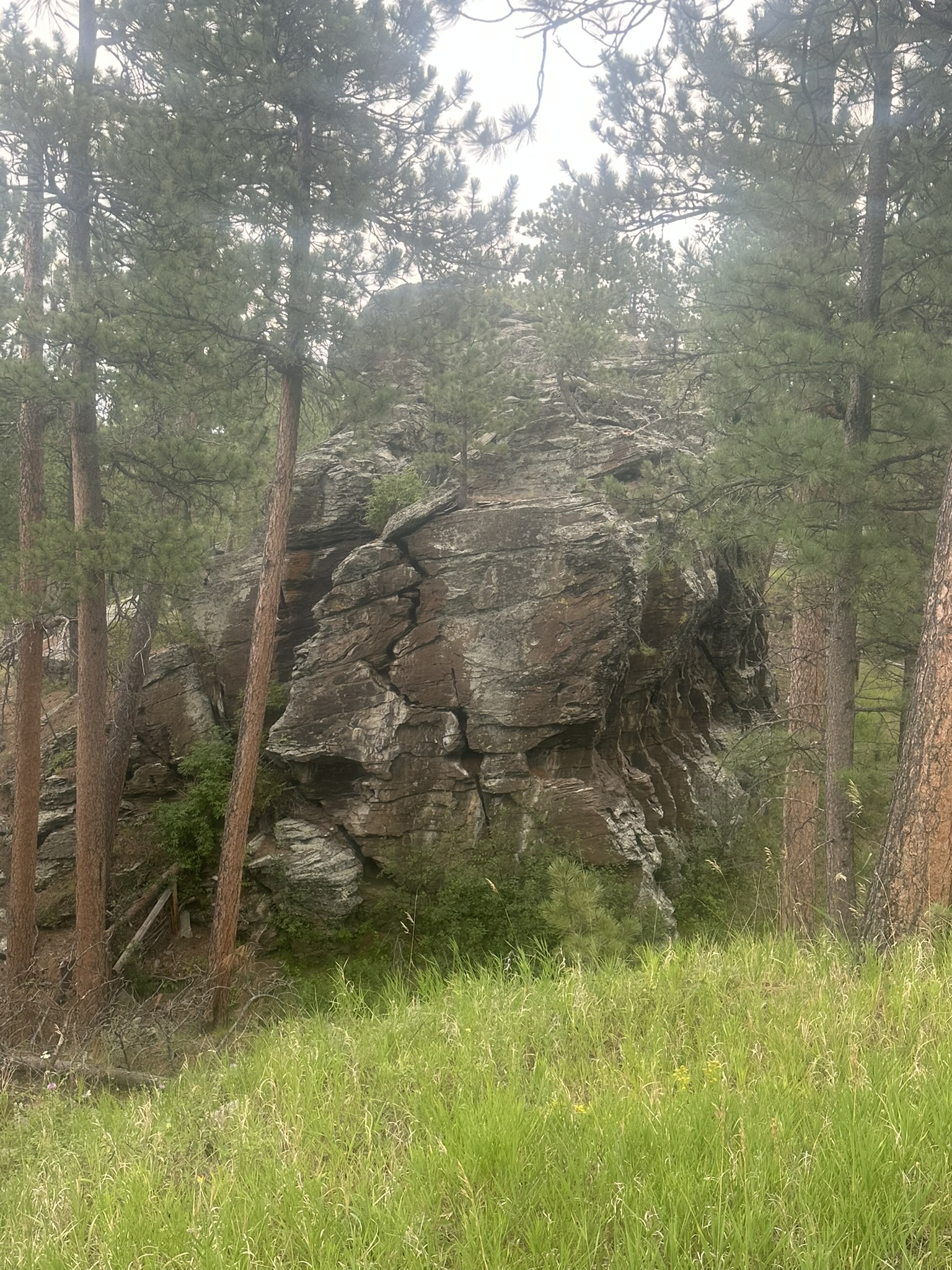South Dakota - Image 233